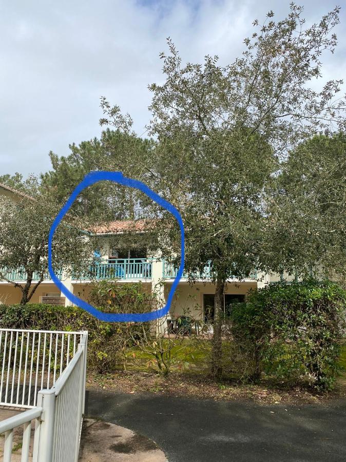 Appartement 3 Pieces, 6 Perso Avec Piscine Chauffee En Saison Domaine Du Golf De Pinsolle Soustons Dış mekan fotoğraf